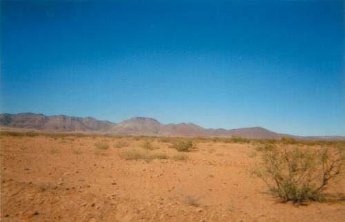 133. Wüste bei NuevoCasasGrandes
